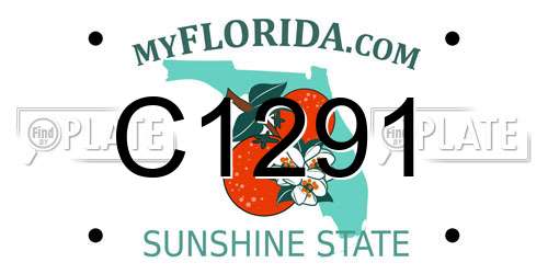 C1291 Florida License Plate