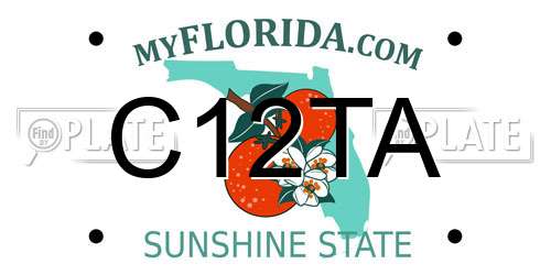 C12TA Florida License Plate