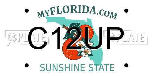 C12UP Florida License Plate