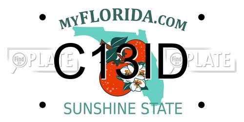 C13ID Florida License Plate