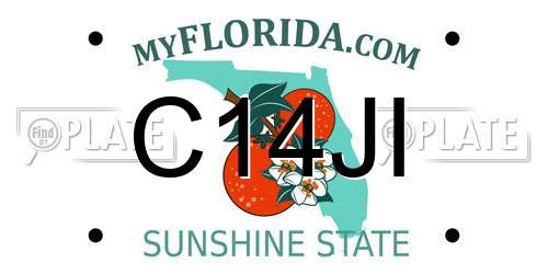 C14JI Florida License Plate