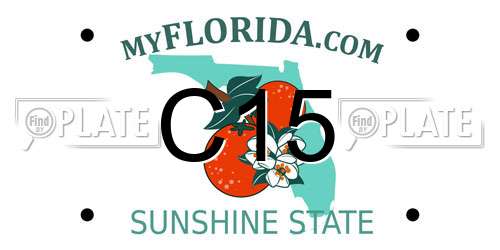 C15 Florida License Plate