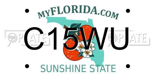 C15WU Florida License Plate