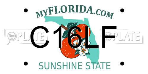 C16LF Florida License Plate
