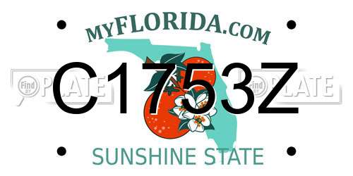 C1753Z Florida License Plate