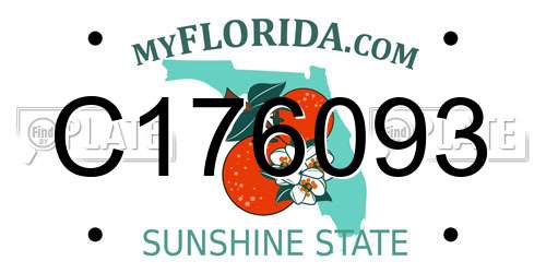 C176093 Florida License Plate
