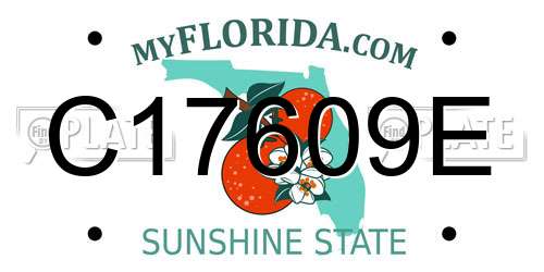 C17609E Florida License Plate