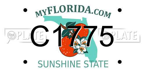 C1775 Florida License Plate
