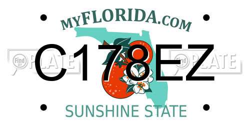 C178EZ Florida License Plate