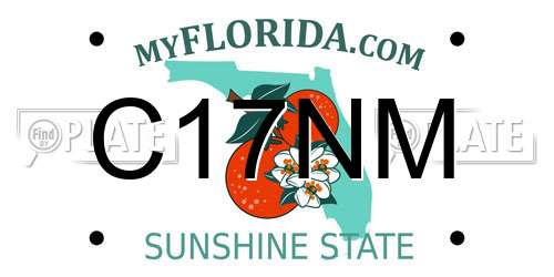C17NM Florida License Plate