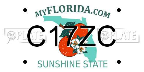 C17ZC Florida License Plate