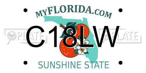 C18LW Florida License Plate