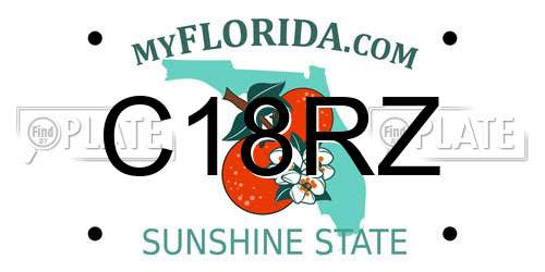 C18RZ Florida License Plate