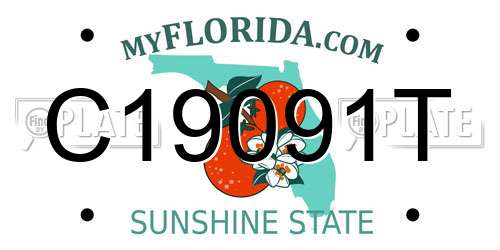 C19091T Florida License Plate