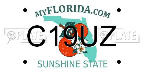 C19UZ Florida License Plate