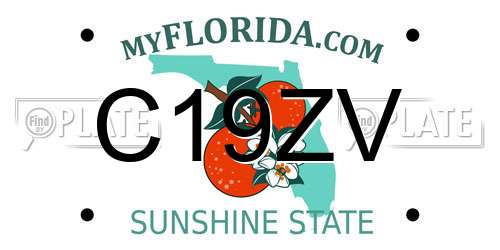 C19ZV Florida License Plate