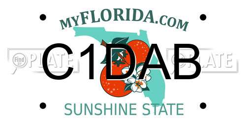 C1DAB Florida License Plate