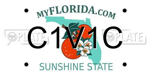 C1V1C Florida License Plate