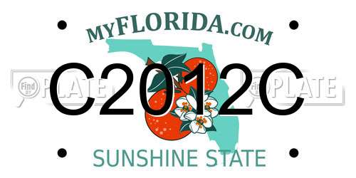 C2012C Florida License Plate