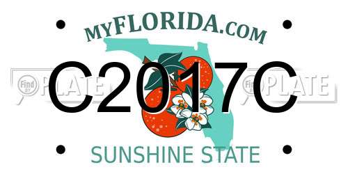C2017C Florida License Plate