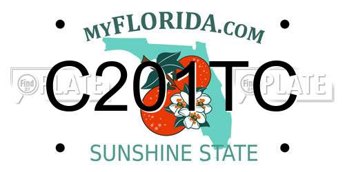 C201TC Florida License Plate