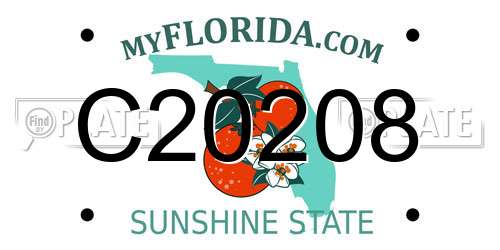 C20208 Florida License Plate