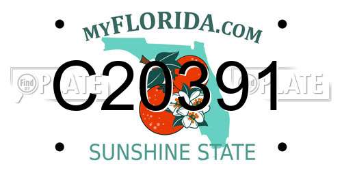 C20391 Florida License Plate