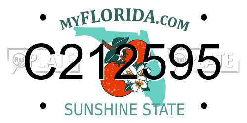 C212595 Florida License Plate