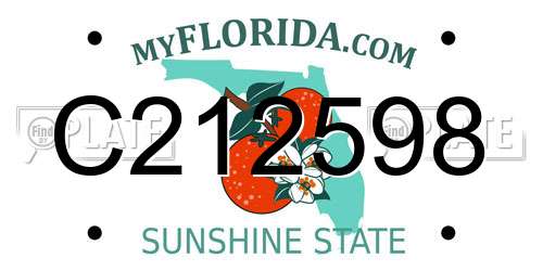 C212598 Florida License Plate