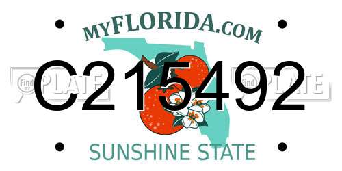 C215492 Florida License Plate