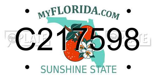 C217598 Florida License Plate