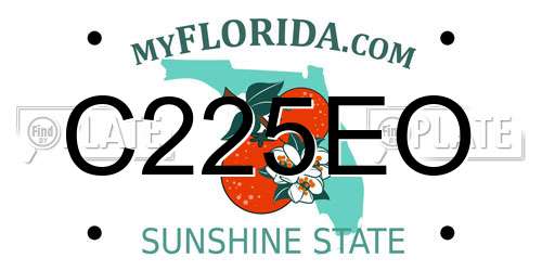 C225EO Florida License Plate
