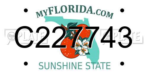 C227743 Florida License Plate