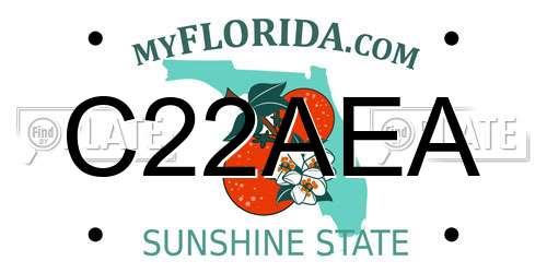 C22AEA Florida License Plate