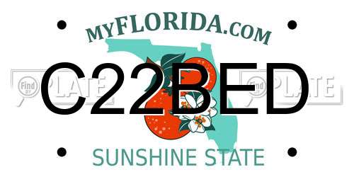 C22BED Florida License Plate
