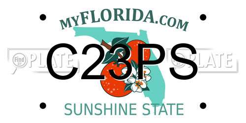 C23PS Florida License Plate