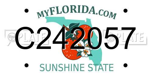 C242057 Florida License Plate