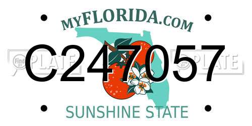C247057 Florida License Plate