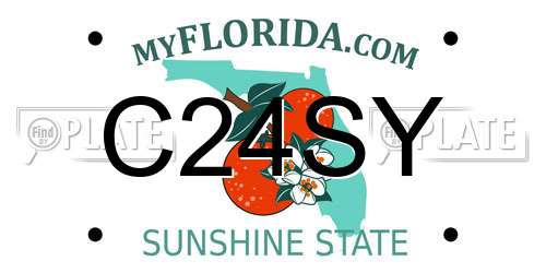 C24SY Florida License Plate