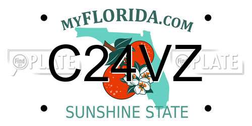 C24VZ Florida License Plate