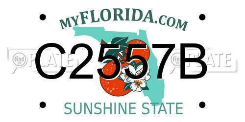C2557B Florida License Plate