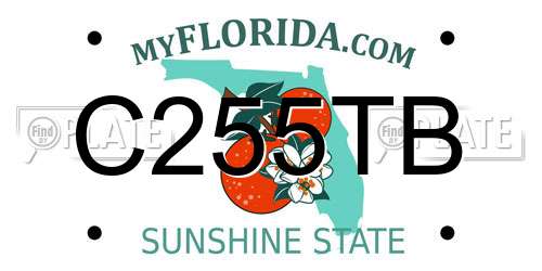 C255TB Florida License Plate