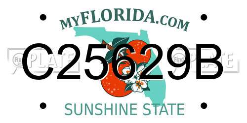 C25629B Florida License Plate