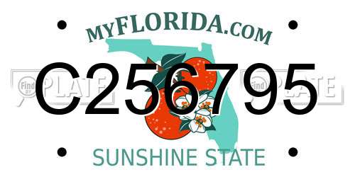 C256795 Florida License Plate