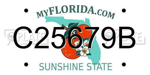 C25679B Florida License Plate