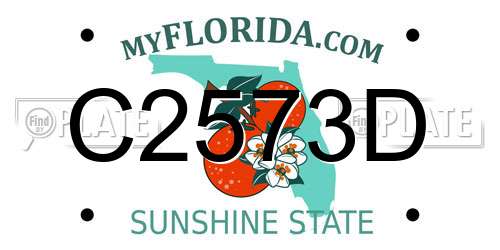 C2573D Florida License Plate