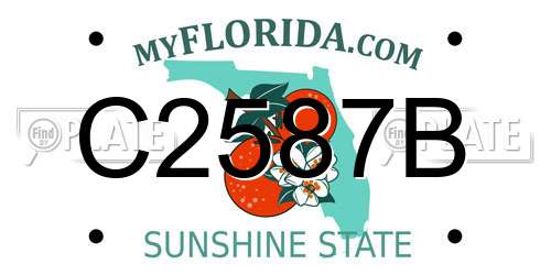 C2587B Florida License Plate