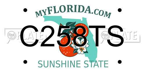 C258TS Florida License Plate