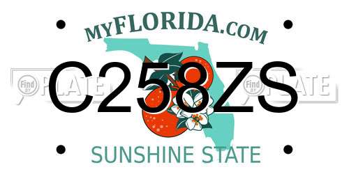 C258ZS Florida License Plate