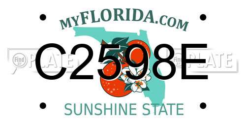 C2598E Florida License Plate